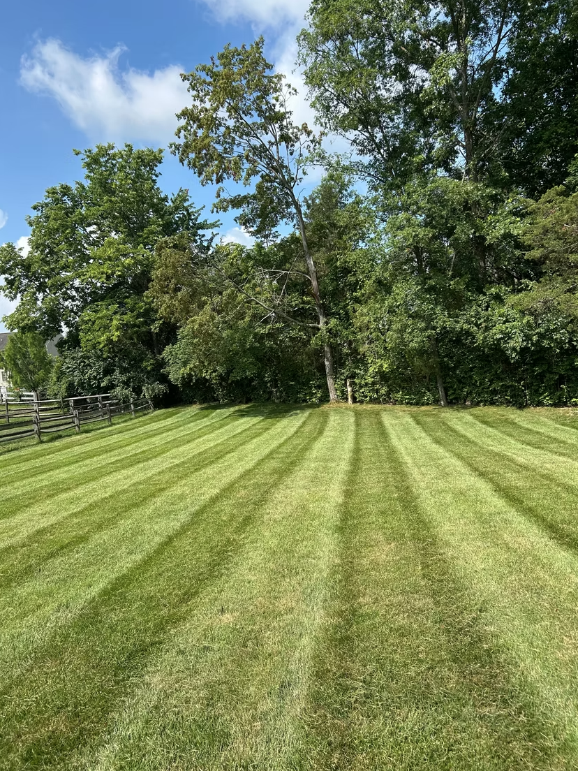 Forte's Lawn Care professional work