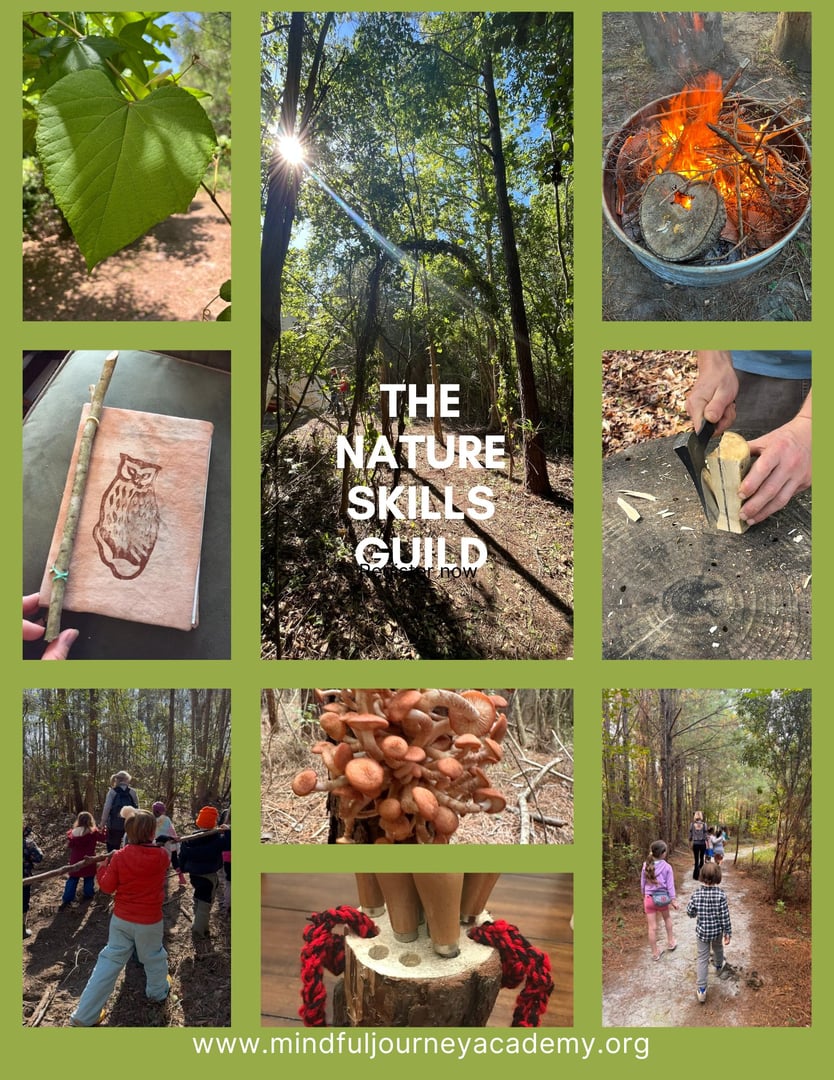 Nature Skills Guild outdoor wilderness learning