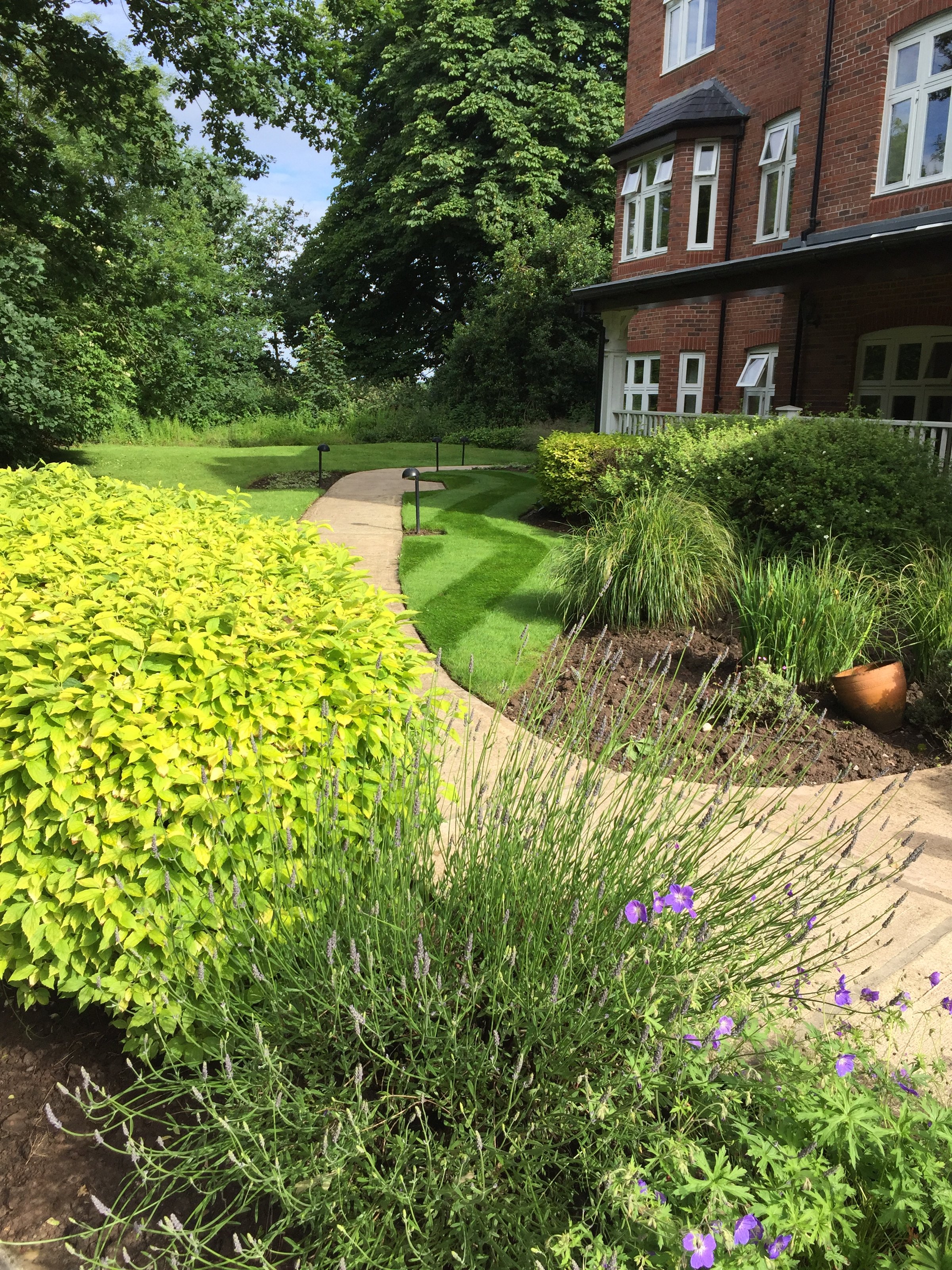 Professionally maintained lawns, paths, and planting areas