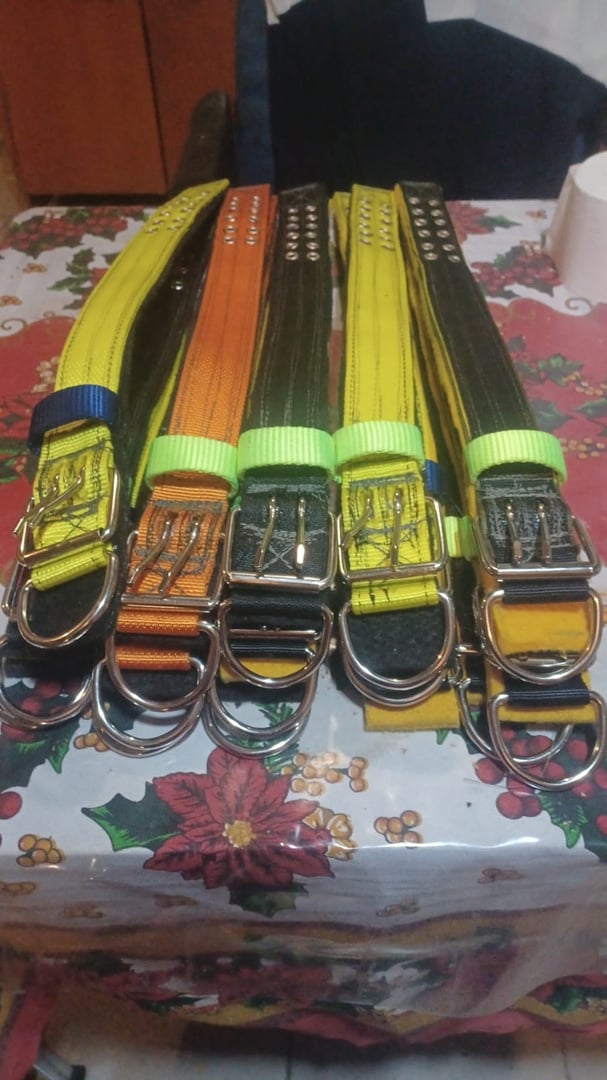 Six colorful dog collars with metal buckles and D-rings lying on a table with a festive tablecloth.