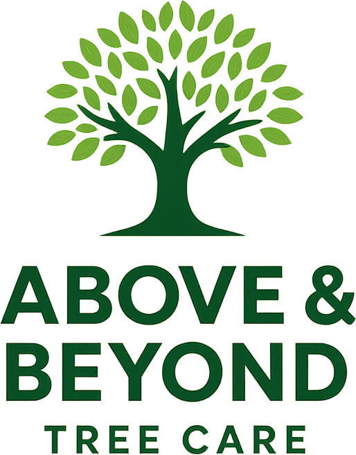 Above & Beyond Tree Care