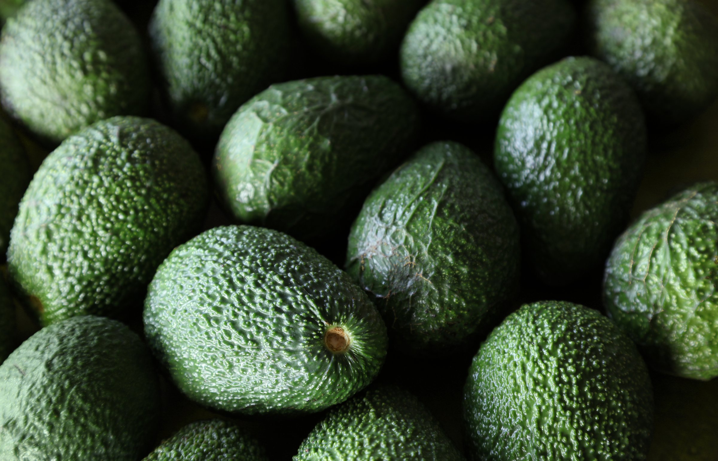Close-up of green whole Hass avocados