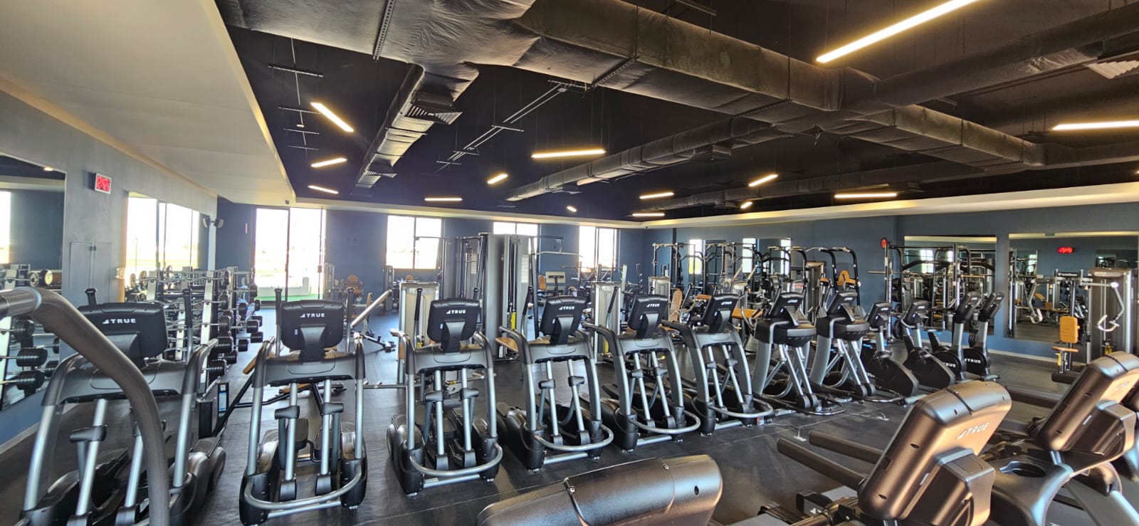 Gimnasio Equipado