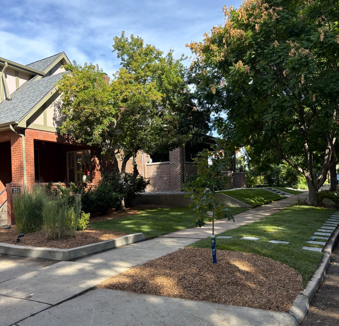 After landscape transformation