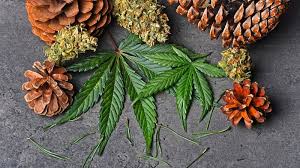 Terpene Image