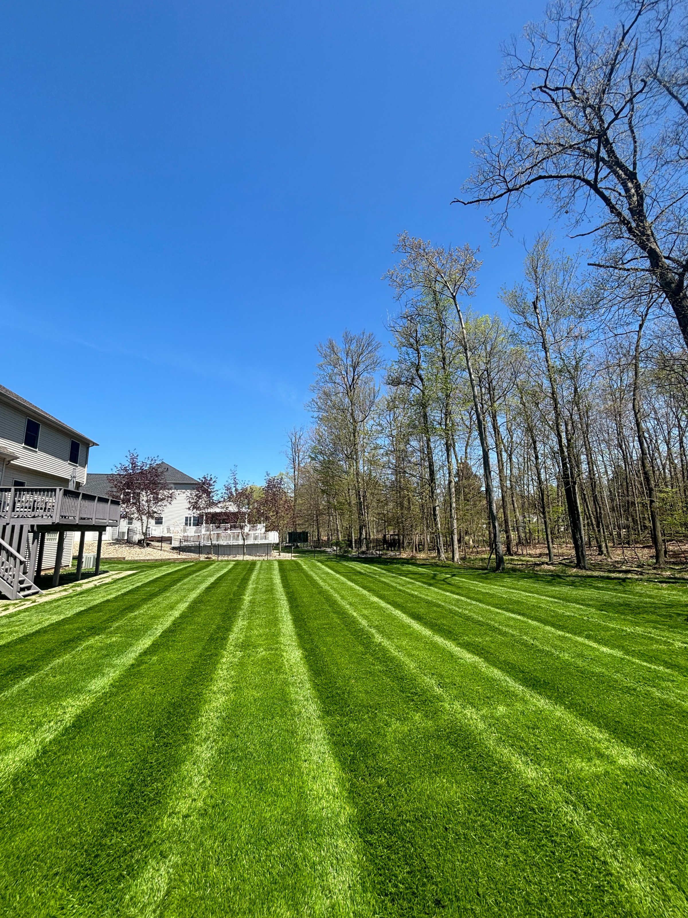 Weekly lawn care and maintenance