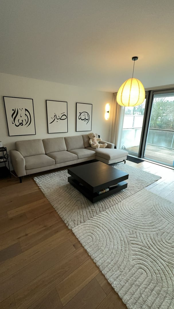 Professionele meubelreiniging woning