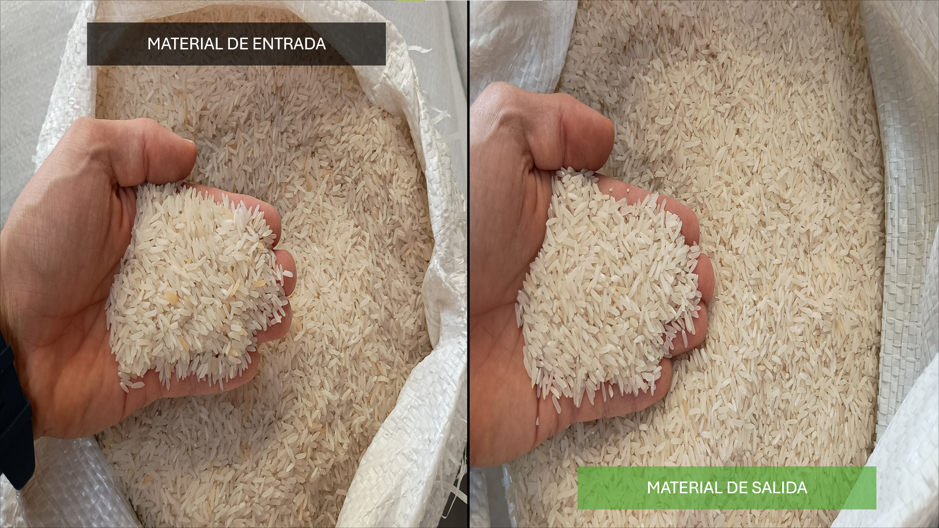 Comparativa de material inicial y final del proceso de selección de granos