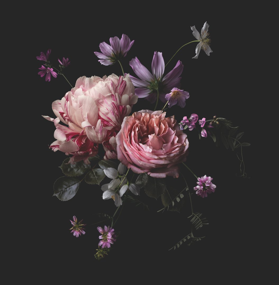 lush dark bouquet made of pink, purple and white flowers, floral arrangement with peony, rose and wildflowers, center design element or motif for cards, wedding stationery, covers, posters, packaging or patterns