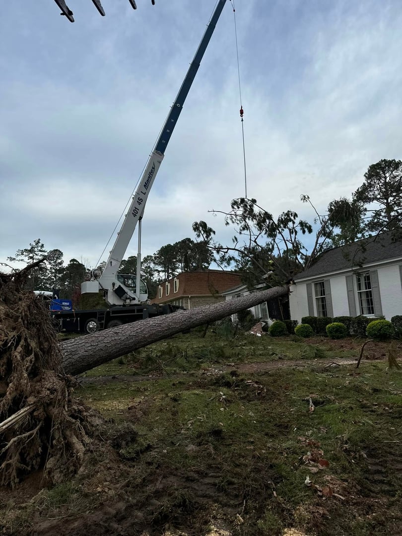 Berry's Tree Pro challenging tree removal work
