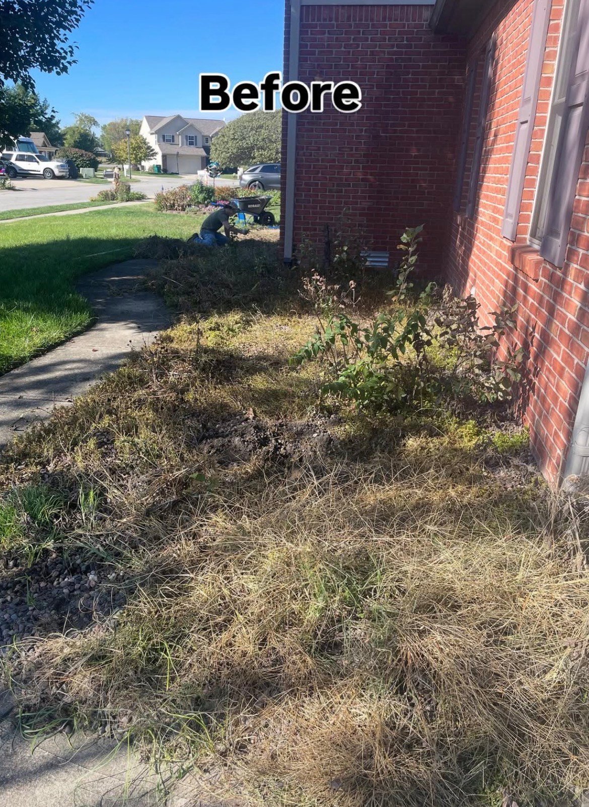 Before landscaping transformation