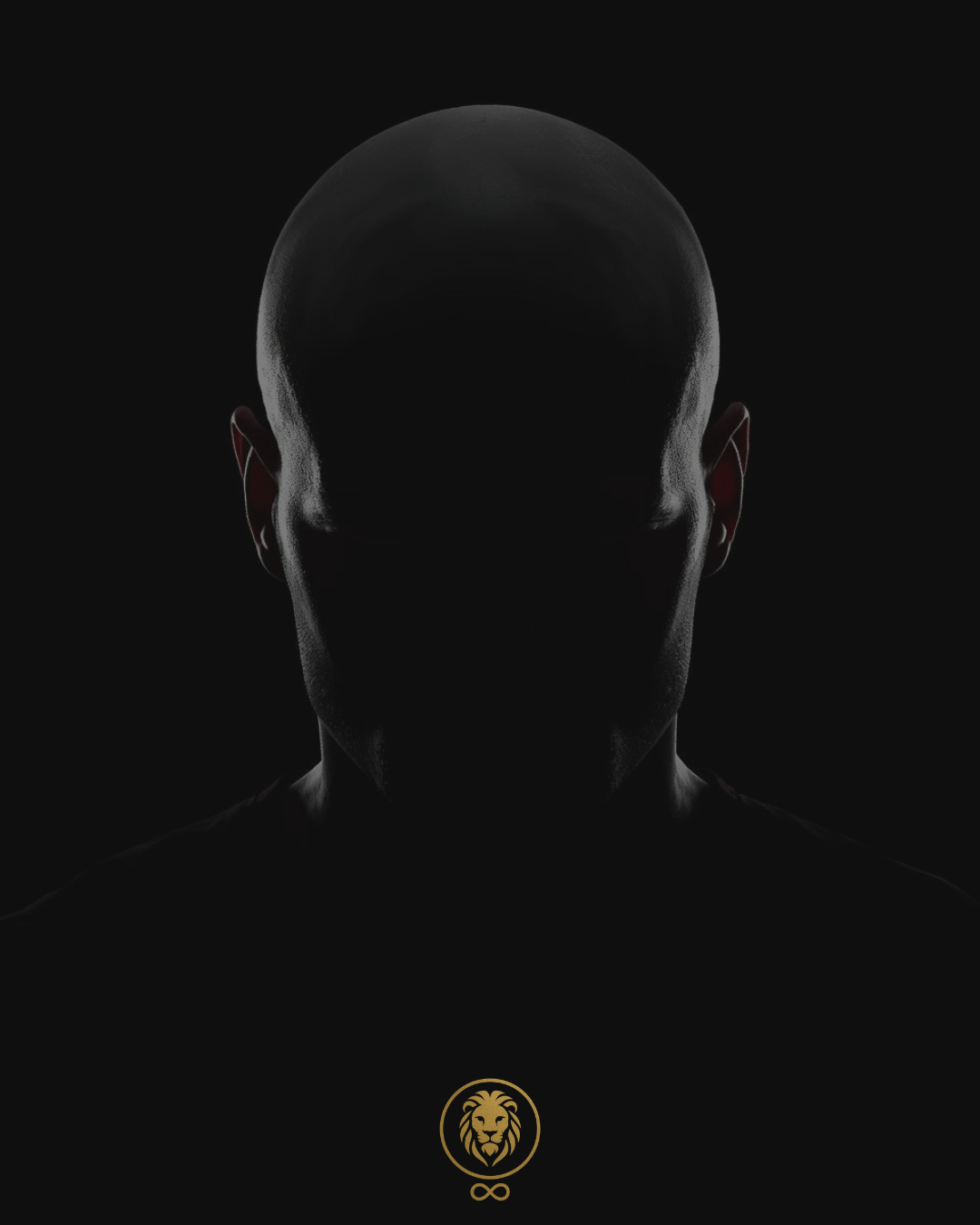 Project Leonidas Illustratie