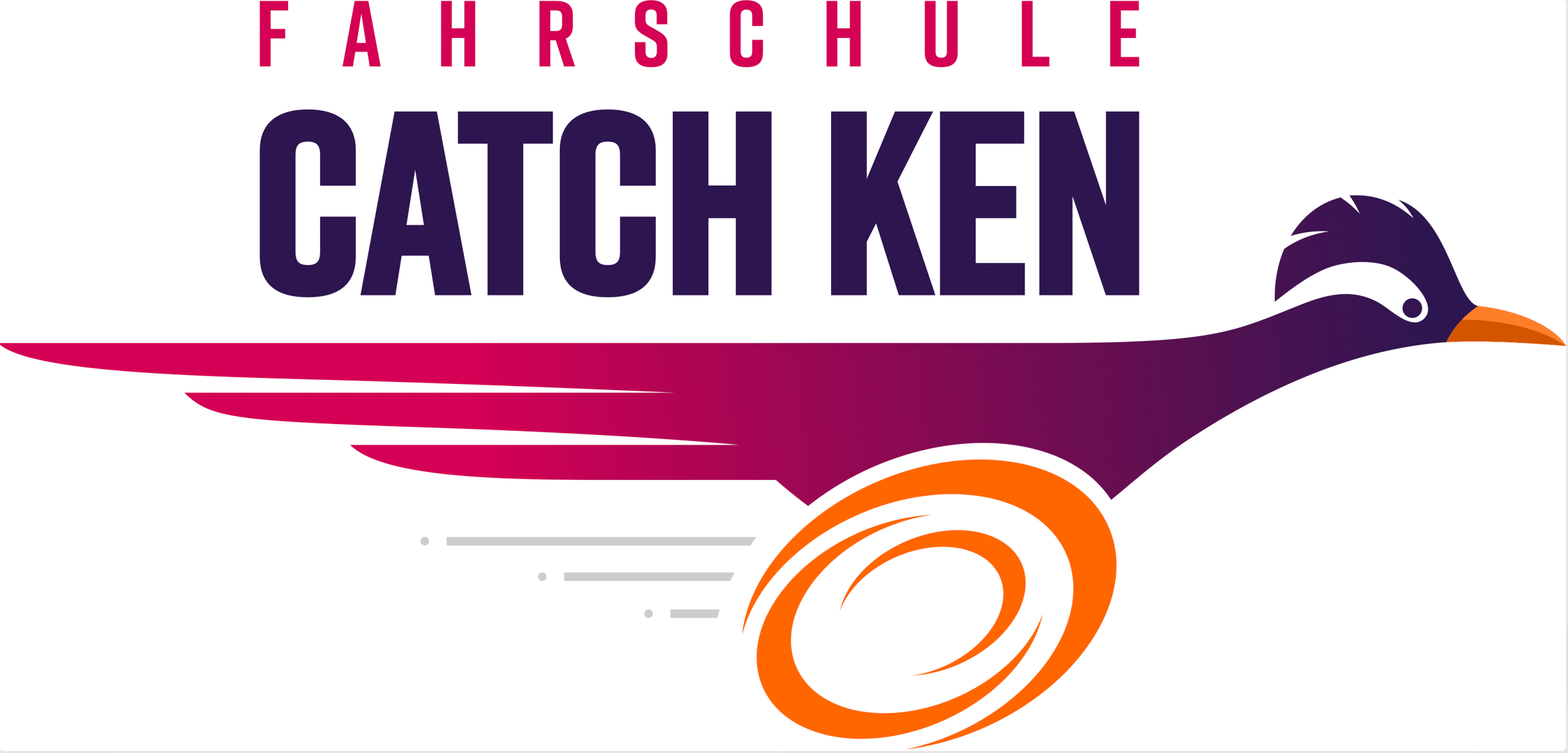 Catch Ken Fahrschule Basel - Moderne Elektro-Fahrausbildung