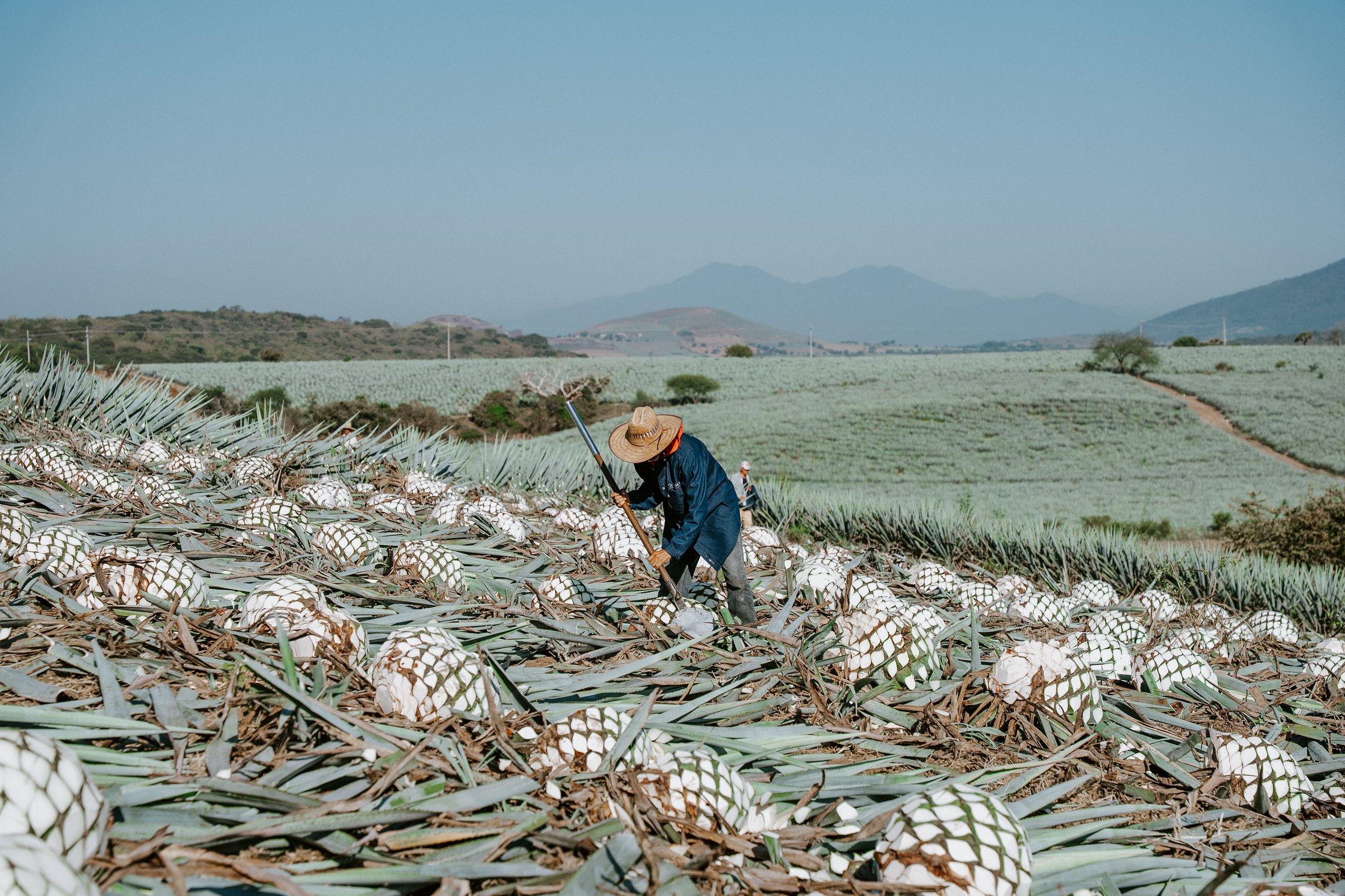 Instalaciones de producción Casa Álamos