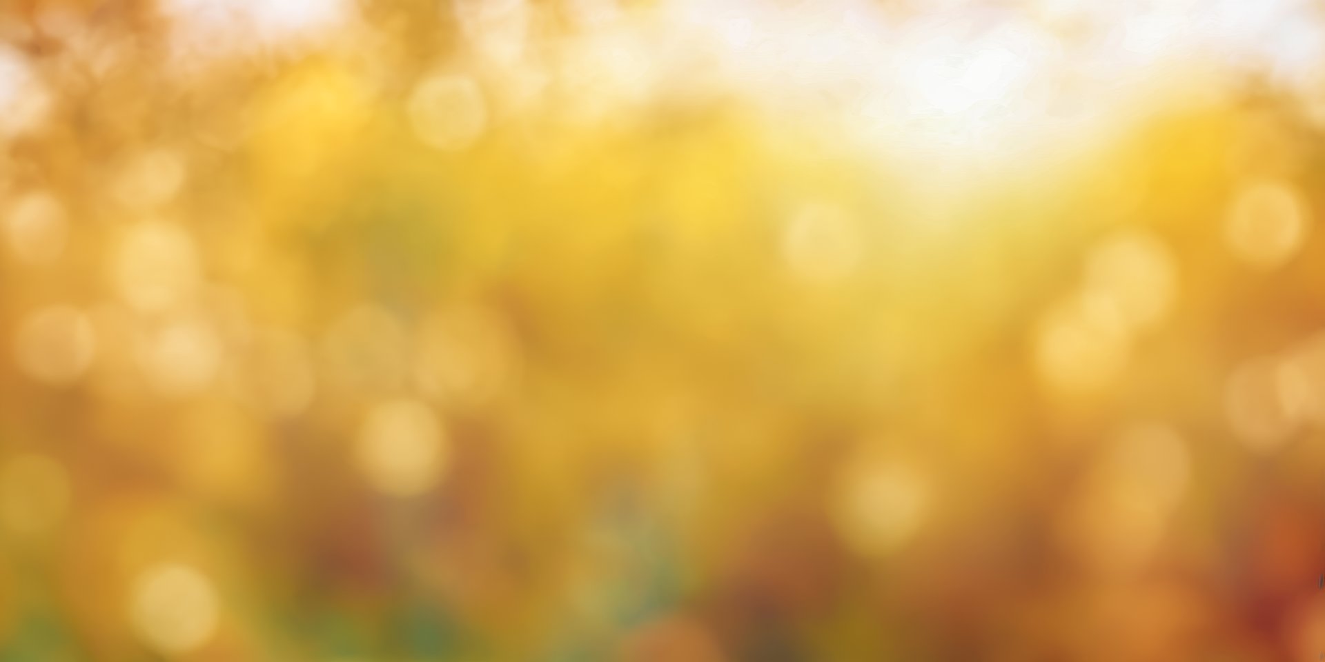 Blurred yellow Autumn Background. Bright Bokeh Lights. Golden Warm Seasonal Vibes, Peaceful Outdoor Atmosphere. Autumn season bokeh background.
