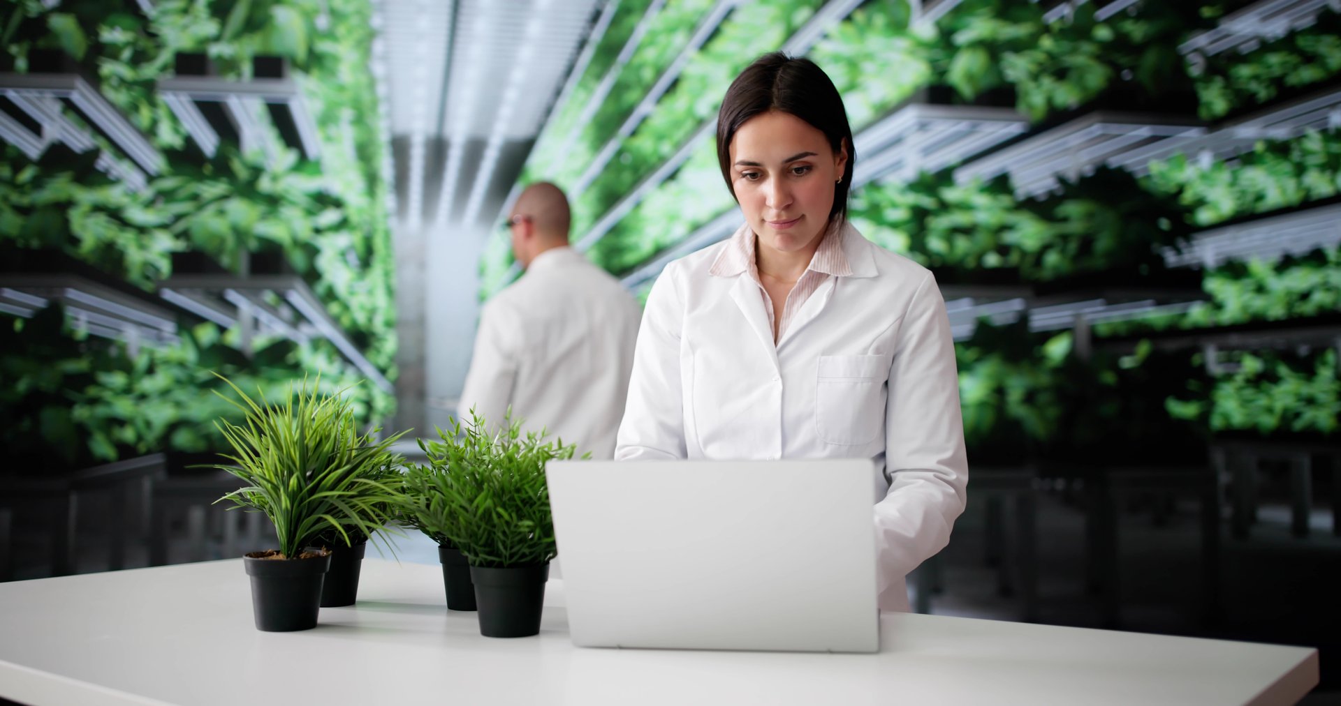 The Sustainable Farmer Using Green Technology To Grow Fresh Vegetables.