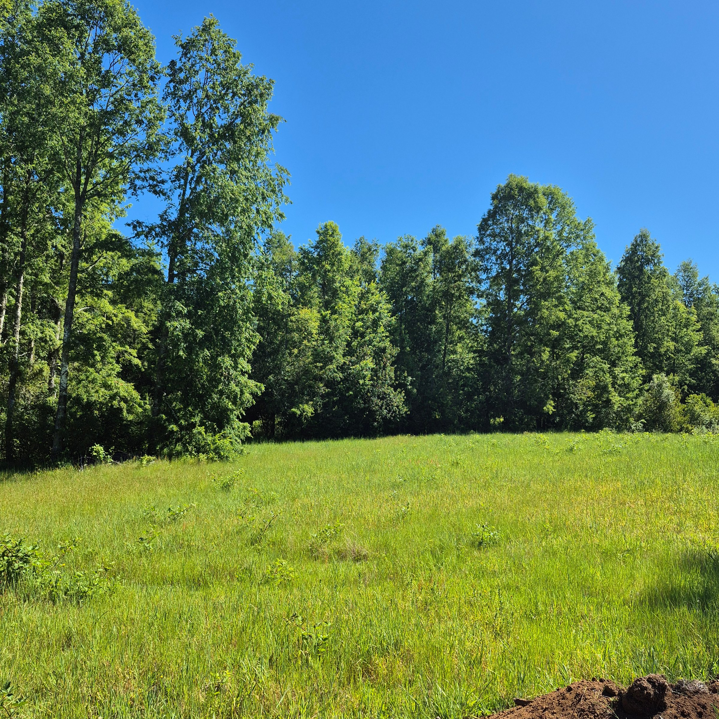 Vista panorámica de las parcelas con naturaleza y entorno privilegiado