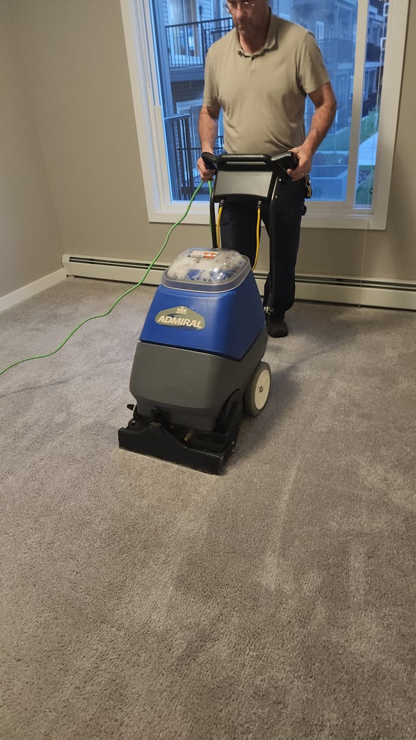 Person using a blue carpet cleaning machine on a beige carpet in a room with a large window.