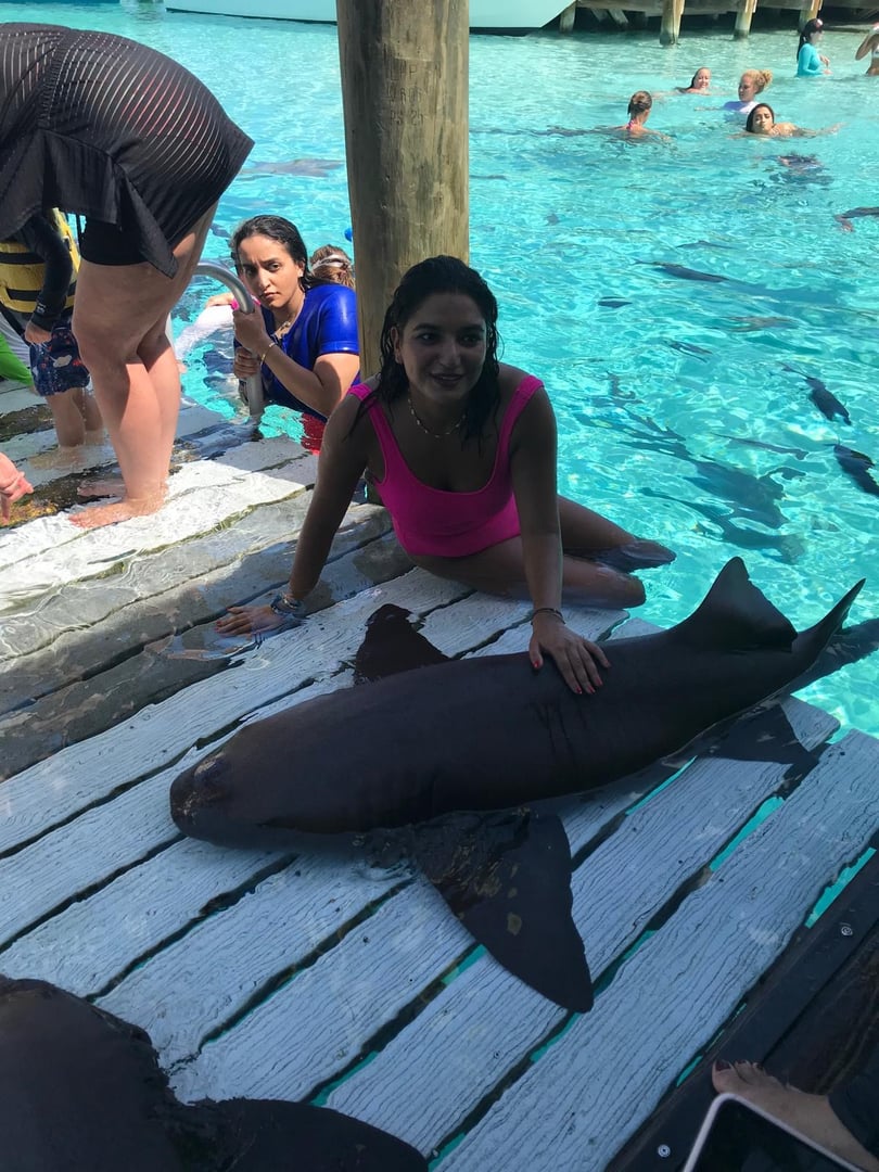 Person in a pink swimsuit kneels beside a large shark on a dock at a clear blue water location with others swimming nearby.