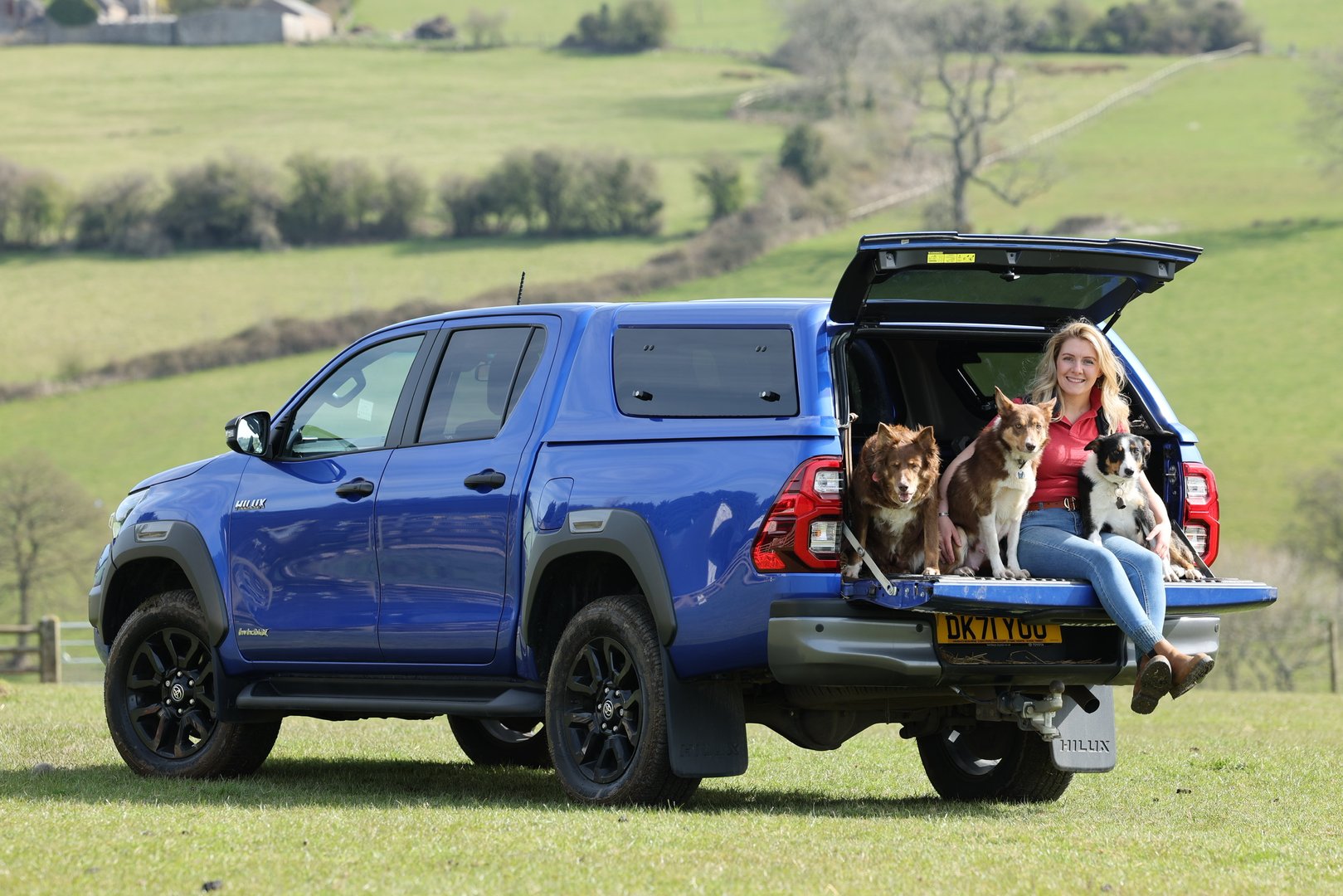 Park Hills Farm - Martini Livestock & Sheepdogs