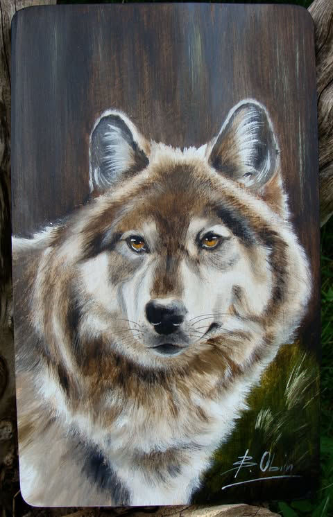 Wilk 5