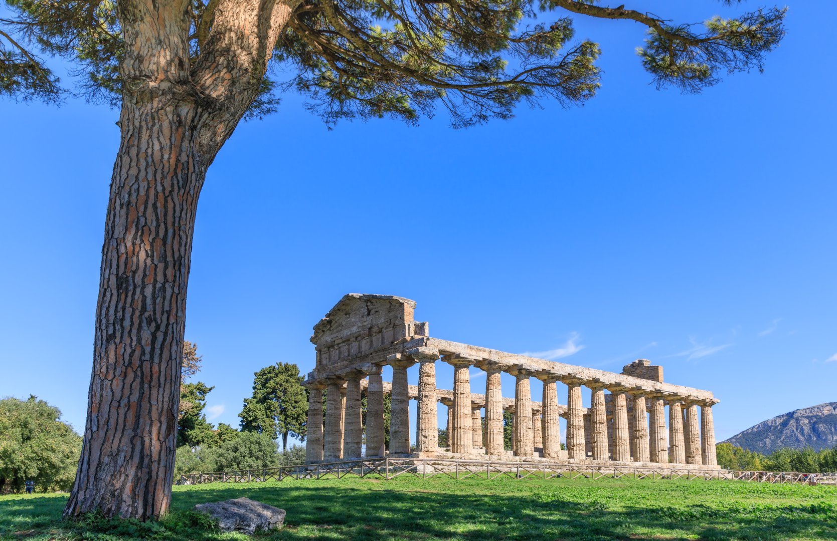 Paestum was a major ancient Greek city in Magna Graecia: the ruins of are famous for their three ancient Greek temples in the Doric order in an excellent state of preservation.
