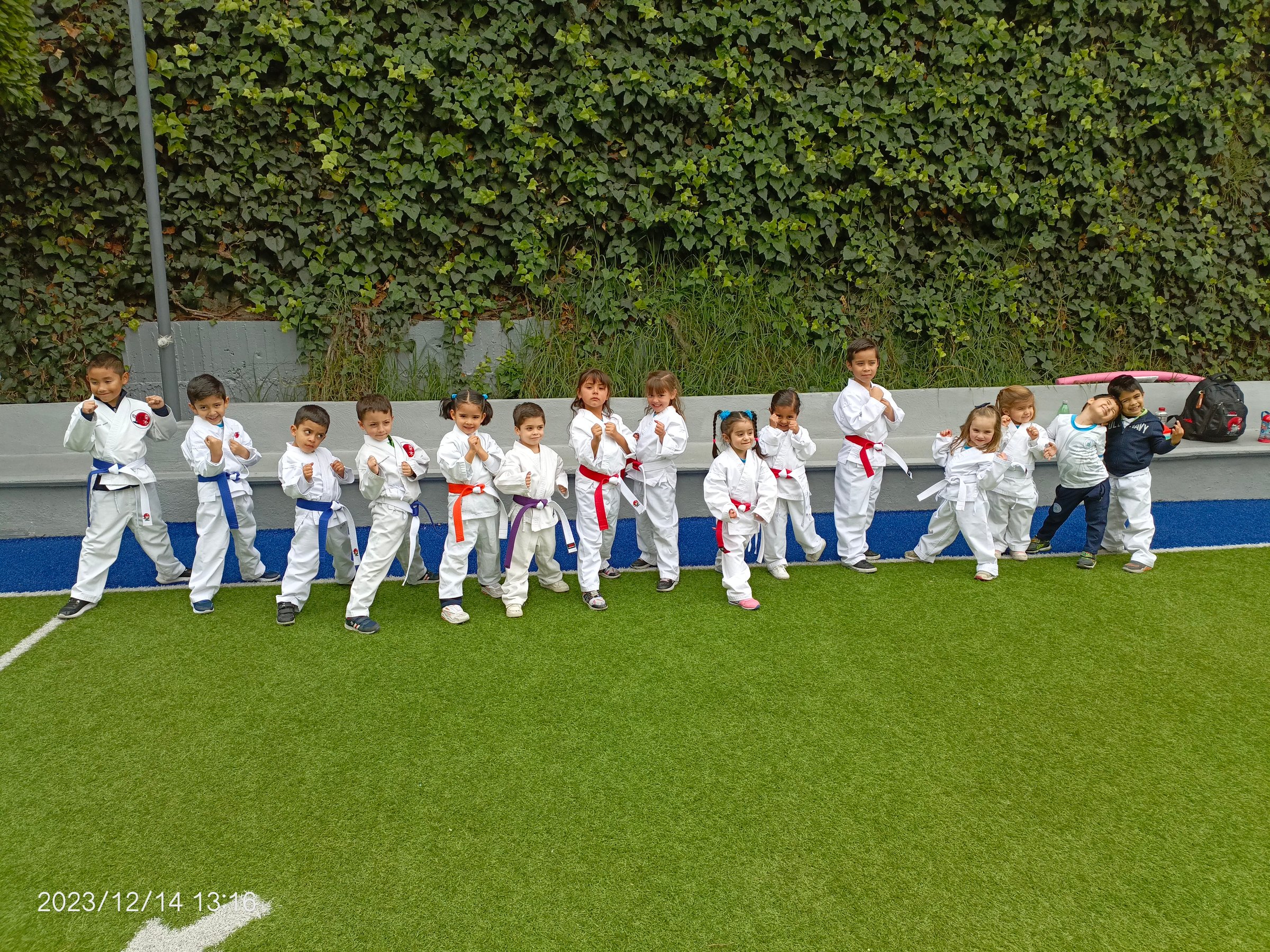Dojo Image 12