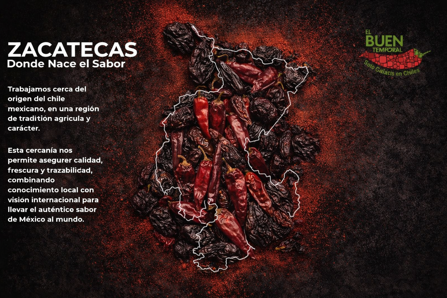 Portada chiles secos