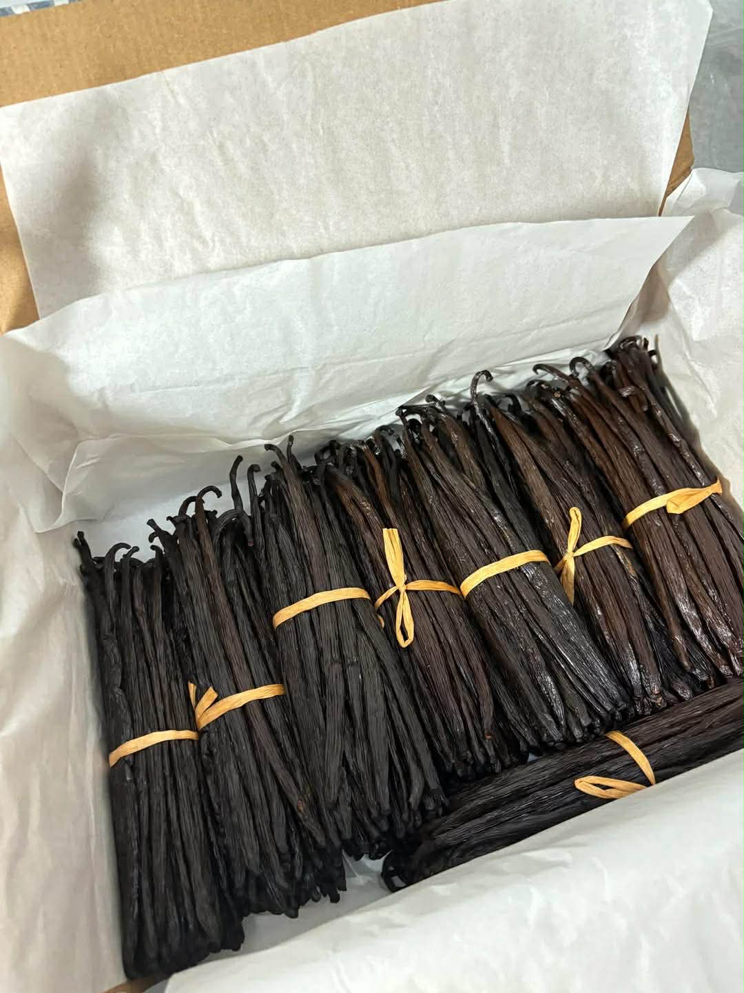 Premium Vanilla Beans