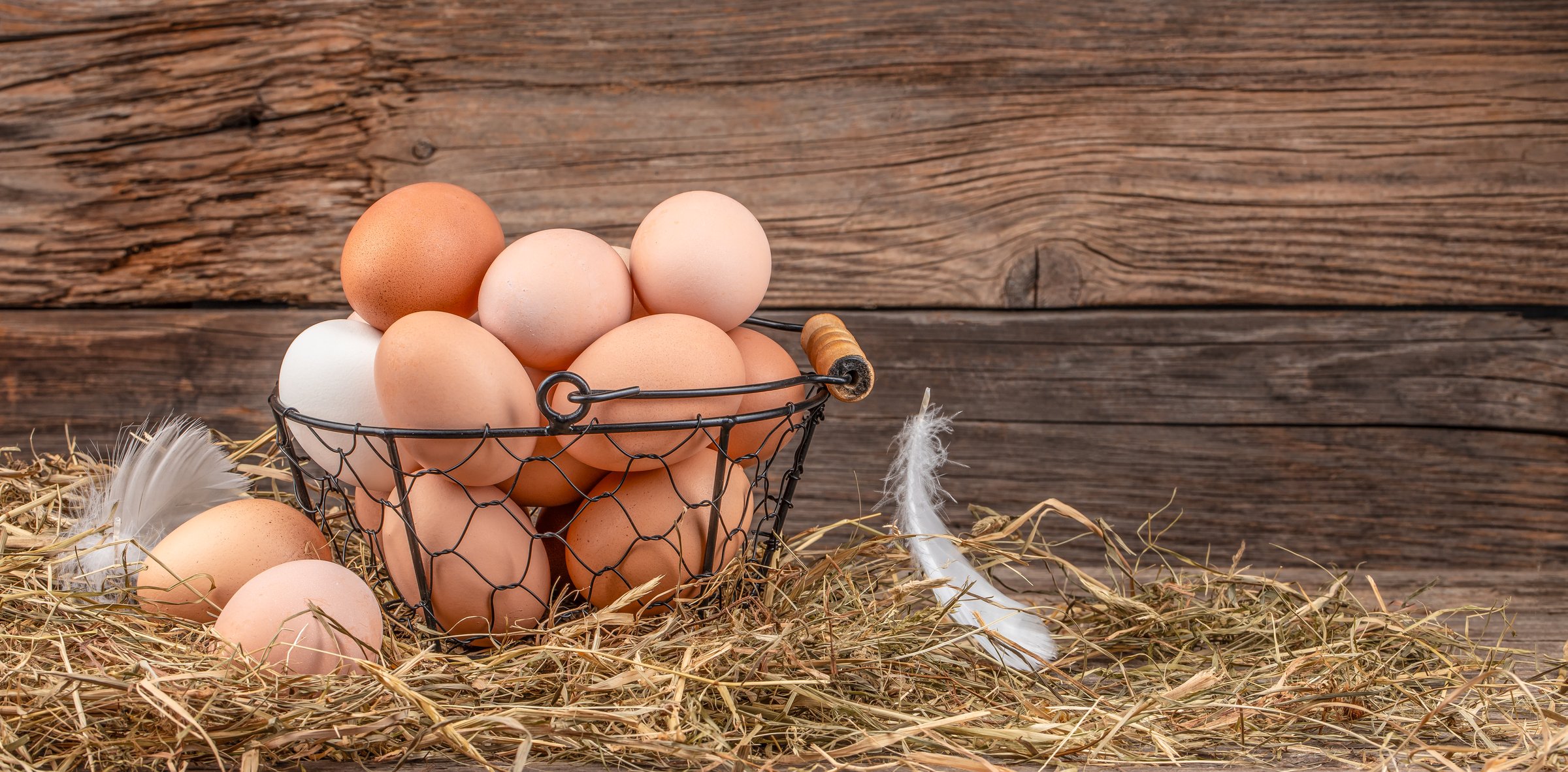 Basket of fresh chicken eggs