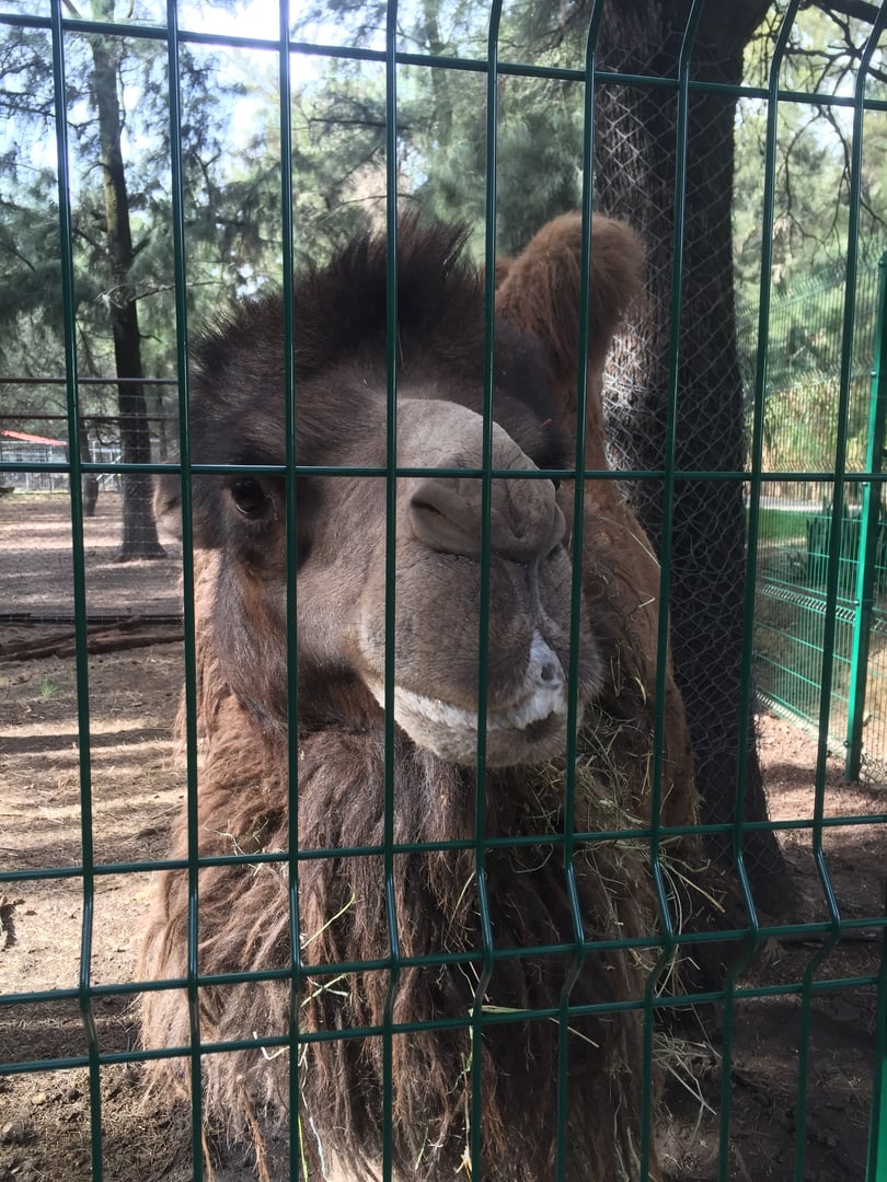 Instalación de reja de acero en León