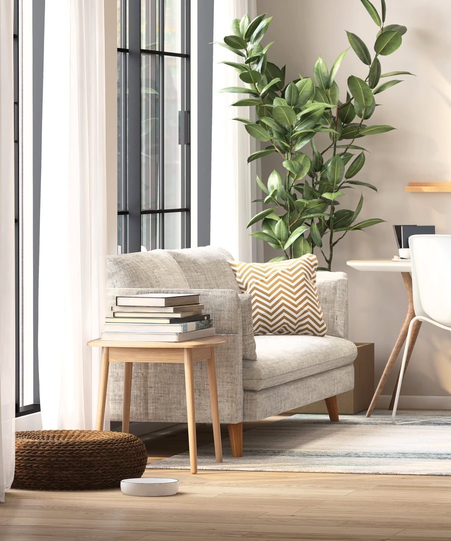 White fabric sofa, India rubber plant, wooden side table and desk in modern and luxury creamed wall and parquet floor room with sunlight from sheer curtain window for interior decoration, lifestyle and architecture product display