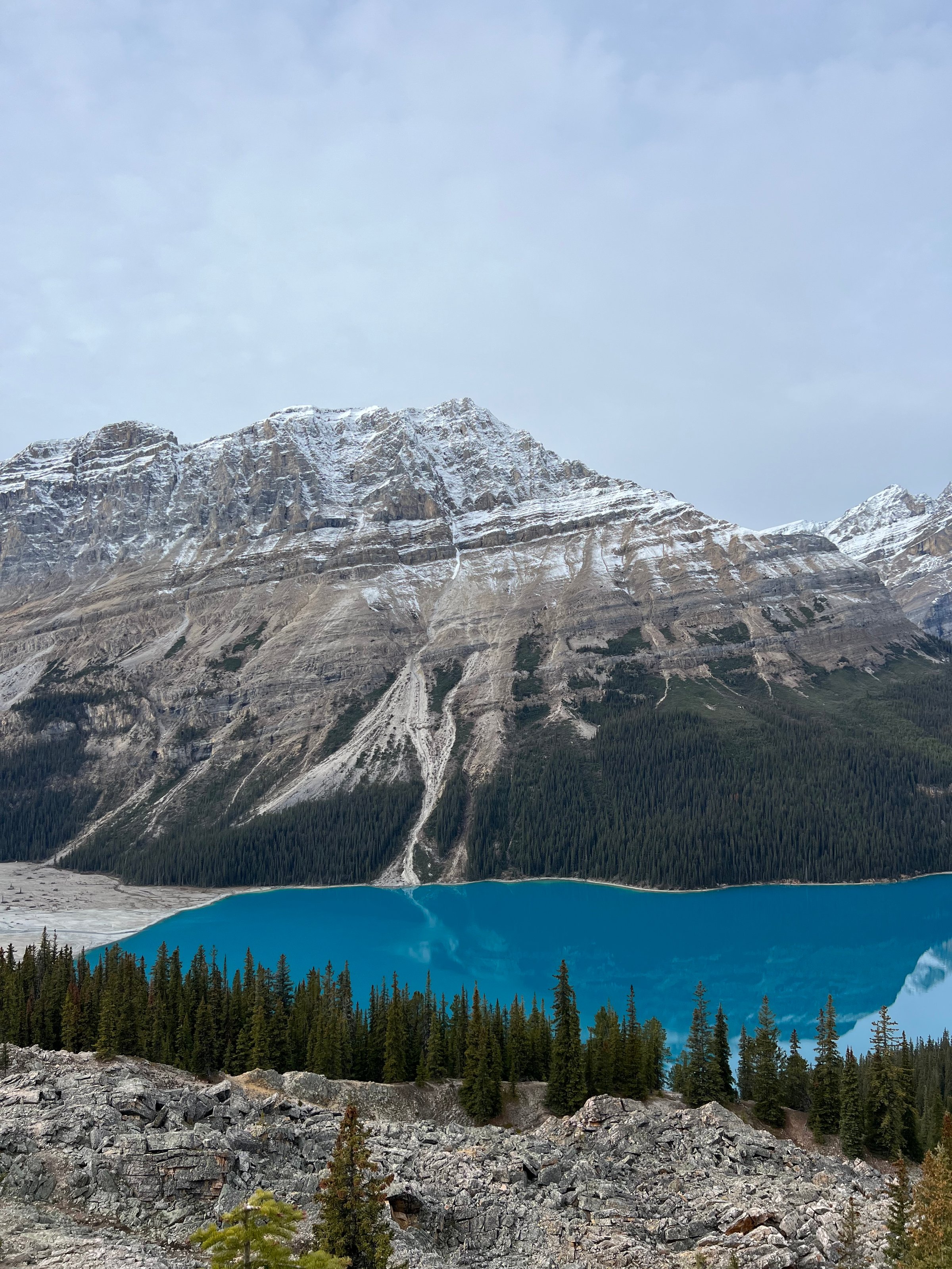 Snow-capped mountains with a bright blue lake below, surrounded by pine forests under a cloudy sky.