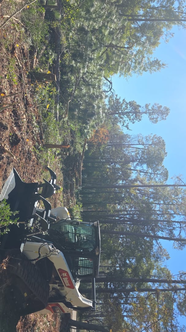 Stump grinding and removal equipment in action