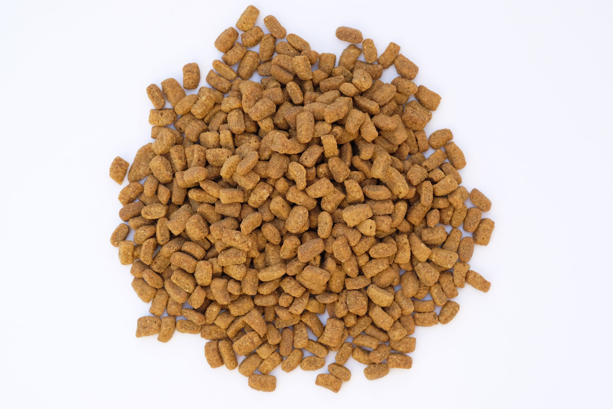 Dry cat food on a white background. Brown granules of dry food for adult sterilized cats. Small granules with turkey flavor food for domestic cats.