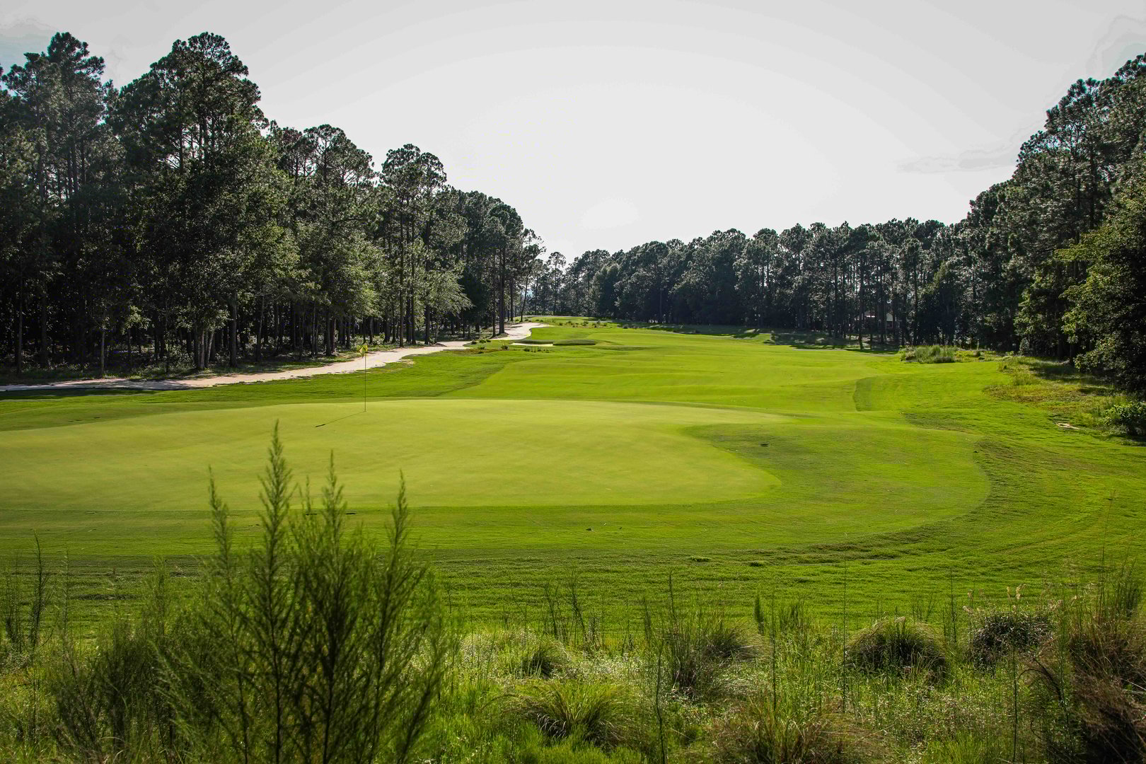 Golf course with lush green grass
