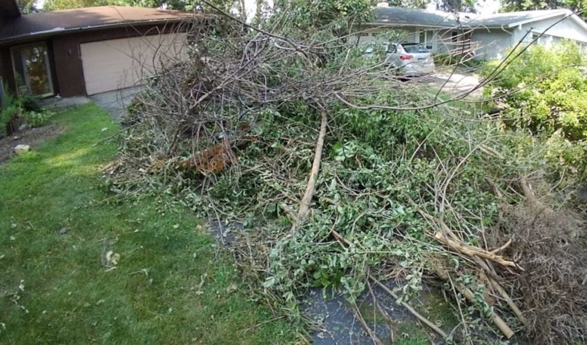 CS Junk Removal yard debris removal