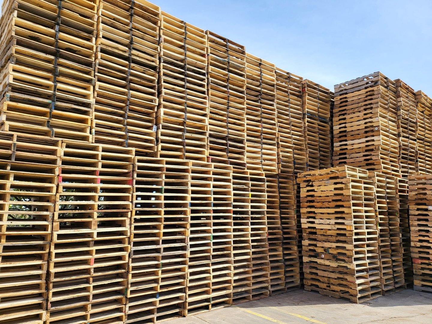 Pro Pallets stacked inventory