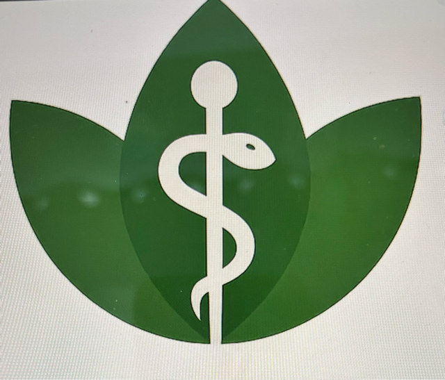 Vital Wealth and Wellness