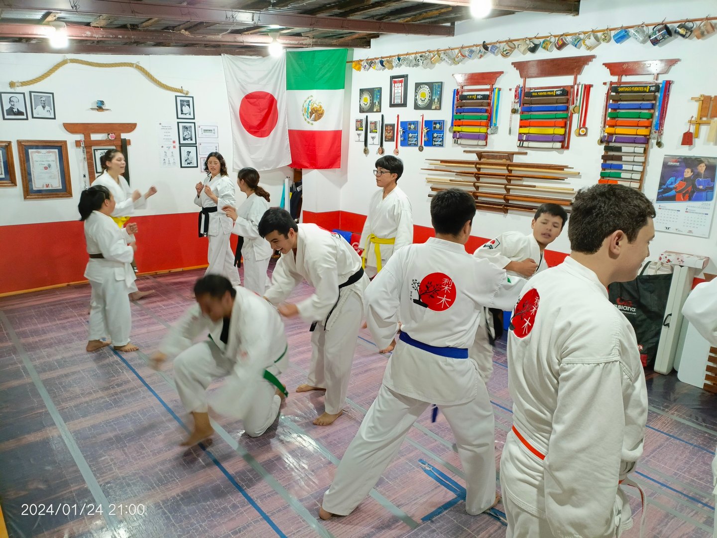 Dojo Image Placeholder 2