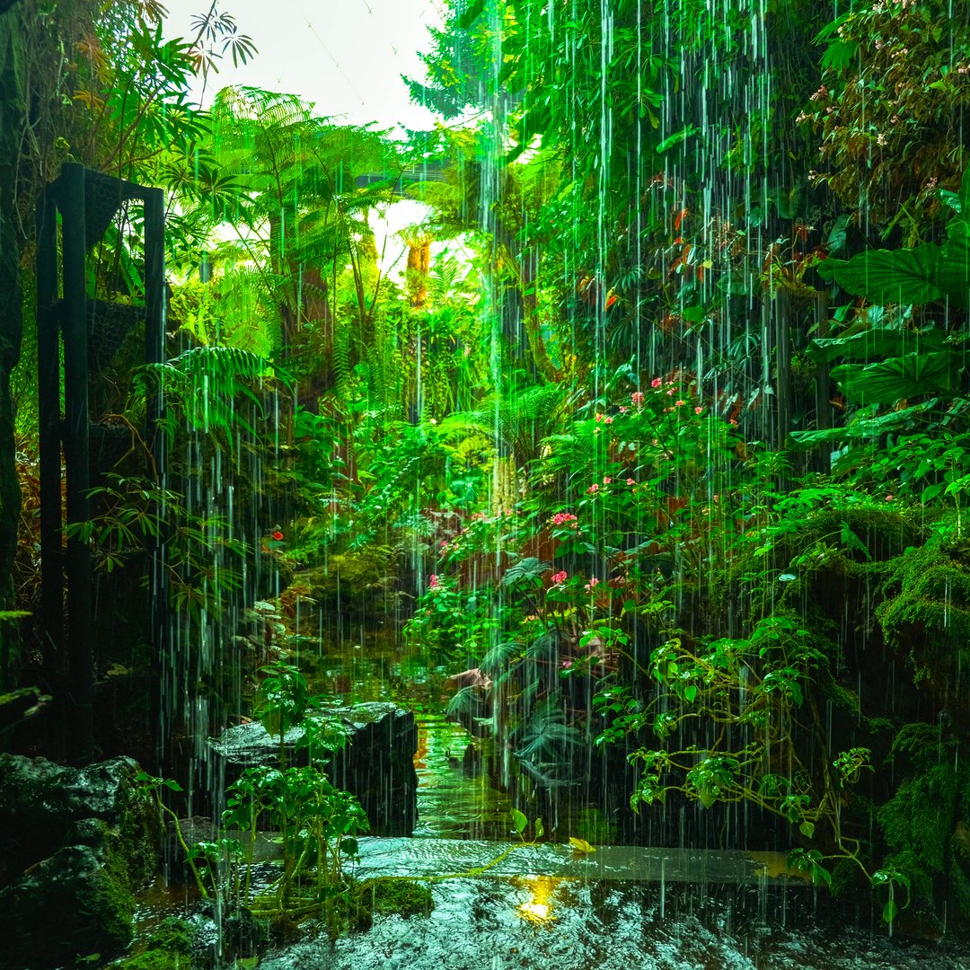 There was a waterfall in the forest and it put my mind at ease.