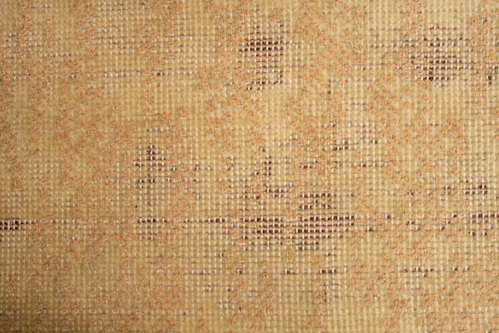 Moth infestation on a wool rug, close up