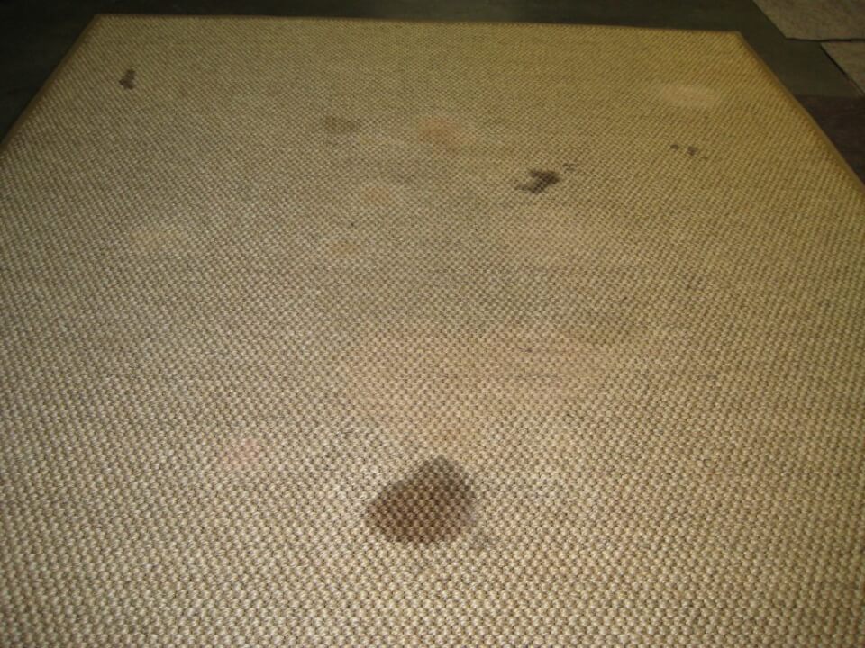 Before: Area rug with deep-set stains requiring professional stain removal treatment