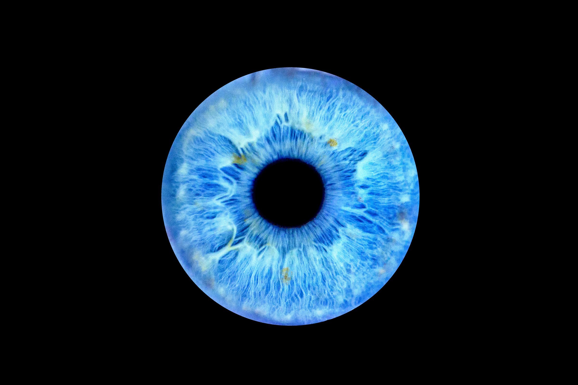 A digitally enhanced close-up of a blue iris, isolated against a black background.