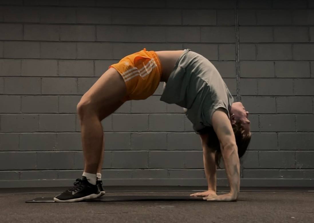 Mobility and flexibility training