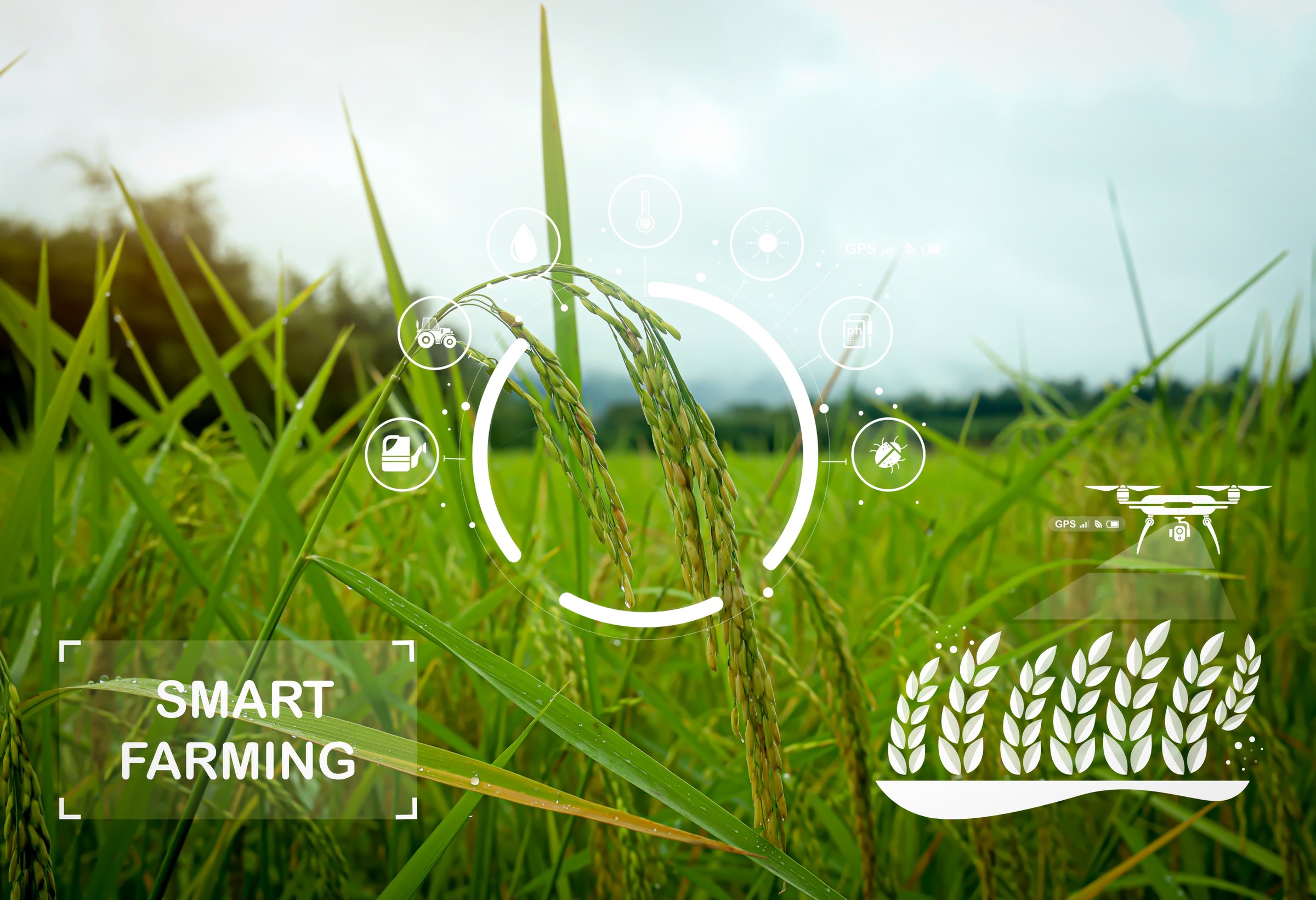 Smart farming and agricultural technology concept using IoT, drones, and data analytics for precision farming, crop monitoring, and sustainable agriculture innovation.