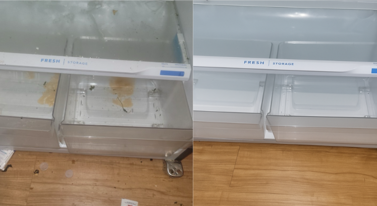 Before and after photo of professional home cleaning by PPC of Macomb in Macomb, MI showing deep cleaning results.