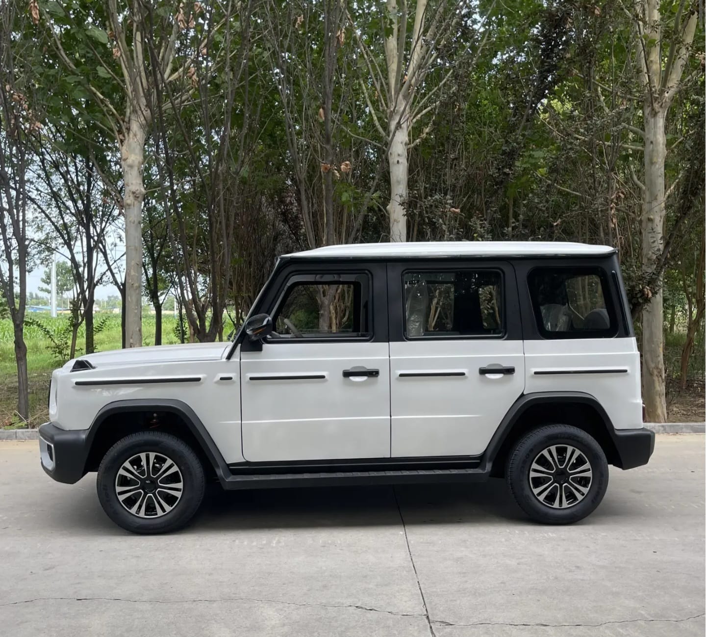 New Shandong EV 2026 - Sistema de carga y autonomía de 305 km