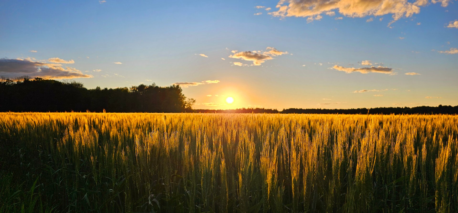 Stunning Sunset view