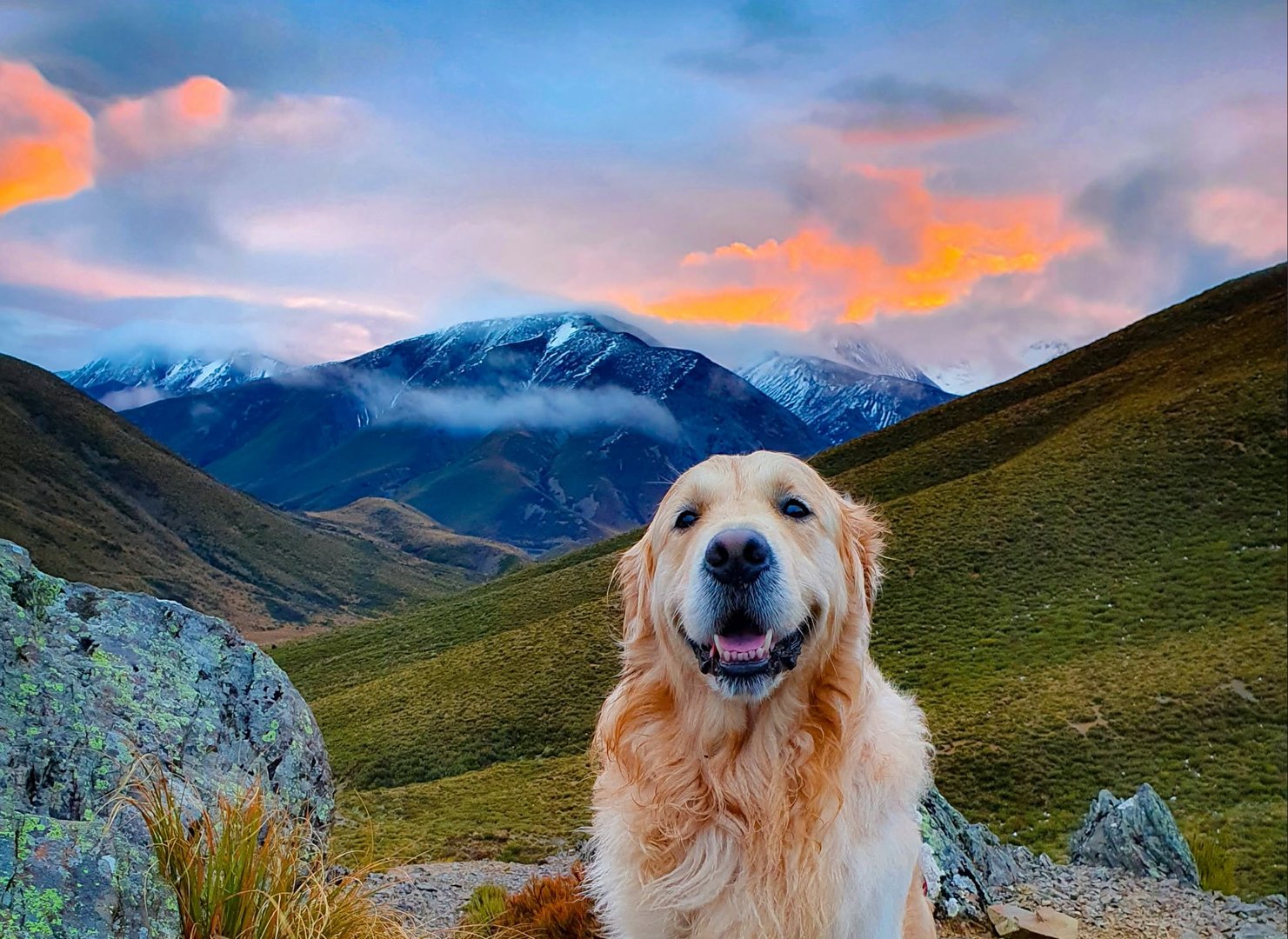 New Zealand Landscape